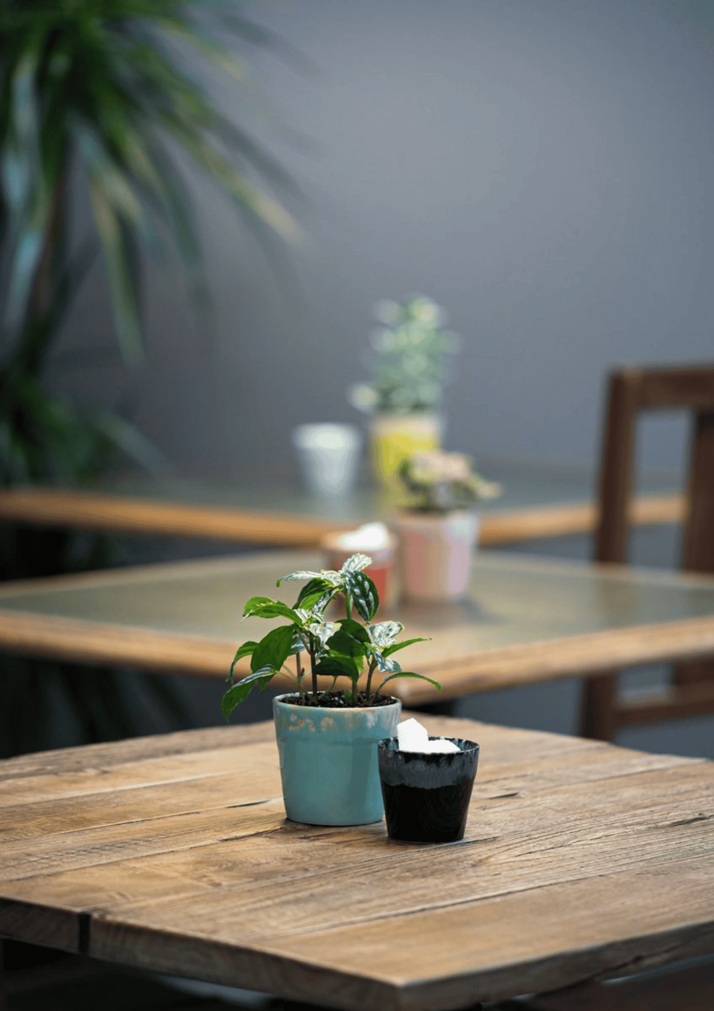 Espresso Becher "Grespresso" | denim | COSTA NOVA - Bild 7
