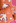 Baumwollkissen "Pink Bird" | orange/pink | MARADJI - Bild 5 (placeholder)